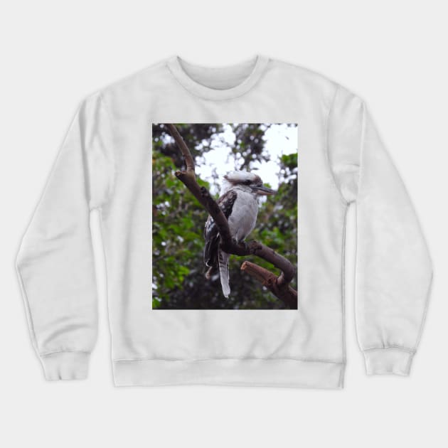 Kookaburra Crewneck Sweatshirt by kirstybush